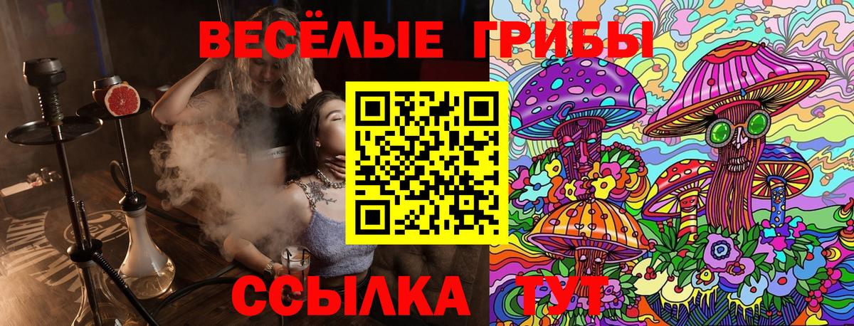 Псилоцибиновые грибы ЛСД Магадан