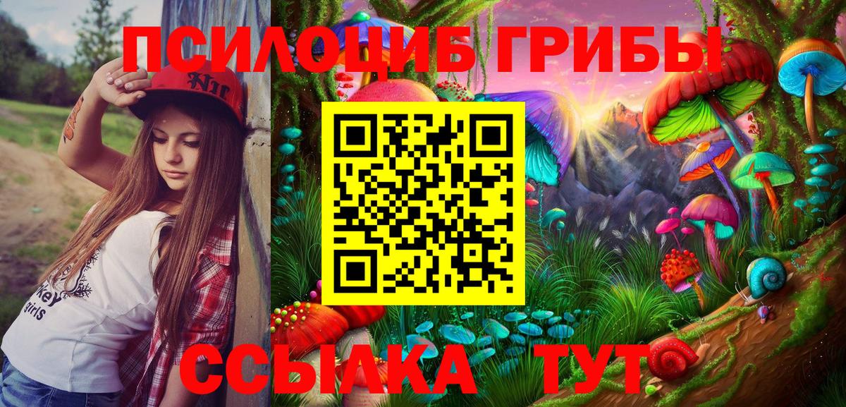 Магадан  Галлюциногенные грибы Magic Shrooms  Вход с VPN 
